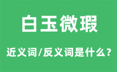 白玉微瑕的近义词和反义词是什么_白玉微瑕是什么意思?