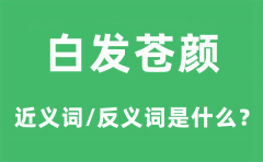 白发苍颜的近义词和反义词是什么_白发苍颜是什么意思?