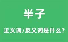 半子的近义词和反义词是什么_半子是什么意思?