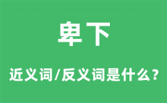 卑下的近义词和反义词是什么_卑下是什么意思?