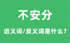 不安分的近义词和反义词是什么_不安分是什么意思?