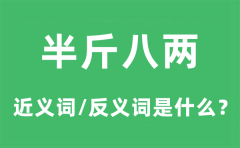 半斤八两的近义词和反义词是什么_半斤八两是什么意思?