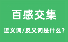 百感交集的近义词和反义词是什么_百感交集是什么意思?