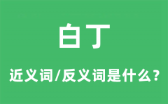 白丁的近义词和反义词是什么_白丁是什么意思?