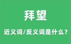 拜望的近义词和反义词是什么_拜望是什么意思?