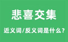 悲喜交集的近义词和反义词是什么_悲喜交集是什么意思?