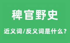 稗官野史的近义词和反义词是什么_稗官野史是什么意思?