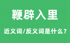鞭辟入里的近义词和反义词是什么_鞭辟入里是什么意思?
