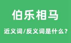 伯乐相马的近义词和反义词是什么_伯乐相马是什么意思?