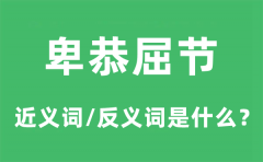 卑恭屈节的近义词和反义词是什么_卑恭屈节是什么意思?