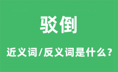 驳倒的近义词和反义词是什么_驳倒是什么意思?