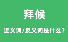 拜候的近义词和反义词是什么_拜候是什么意思?