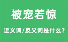 被宠若惊的近义词和反义词是什么_被宠若惊是什么意思?