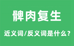 髀肉复生的近义词和反义词是什么_髀肉复生是什么意思?
