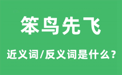 笨鸟先飞的近义词和反义词是什么_笨鸟先飞是什么意思?