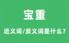 宝重的近义词和反义词是什_宝重是什么意思?