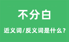 不分白的近义词和反义词是什么_不分白是什么意思?