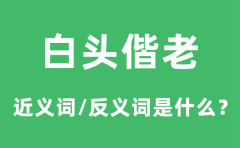 白头偕老的近义词和反义词是什么_白头偕老是什么意思?