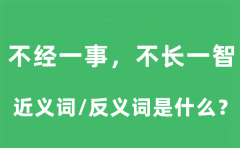 不经一事，不长一智的近义词和反义词是什么_不经一事，不长一智是什么意思