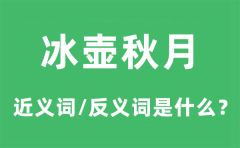 冰壶秋月的近义词和反义词是什么_冰壶秋月是什么意思?