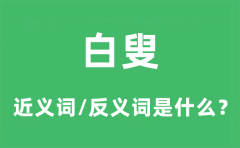 白叟的近义词和反义词是什么_白叟是什么意思?