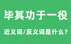 毕其功于一役的近义词和反义词是什么_毕其功于一役是什么意思?