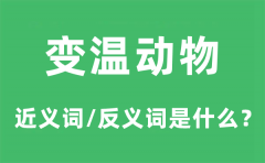 变温动物的近义词和反义词是什么_变温动物是什么意思?