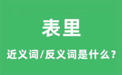 表里的近义词和反义词是什么_表里是什么意思?