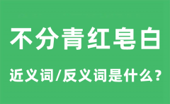 不分青红皂白的近义词和反义词是什么_不分青红皂白是什么意思?