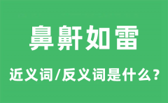 鼻鼾如雷的近义词和反义词是什么_鼻鼾如雷是什么意思?