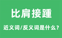 <b>比肩接踵的近义词和反义词是什么_比肩接踵是什么意思?</b>