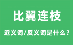 比翼连枝的近义词和反义词是什么_比翼连枝是什么意思?