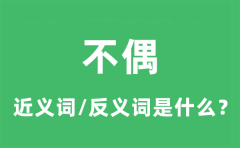 不偶的近义词和反义词是什么_不偶是什么意思?