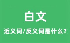 白文的近义词和反义词是什么_白文是什么意思?