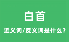 白首的近义词和反义词是什么_白首是什么意思?