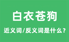 白衣苍狗的近义词和反义词是什么_白衣苍狗是什么意思?