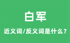 白军的近义词和反义词是什么_白军是什么意思?