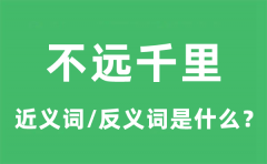 不远千里的近义词和反义词是什么_不远千里是什么意思?