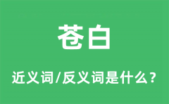 苍白的近义词和反义词是什么_苍白是什么意思?