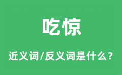 吃惊的近义词和反义词是什么_吃惊是什么意思?