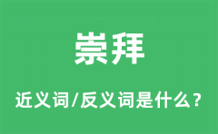 崇拜的近义词和反义词是什么_崇拜是什么意思?