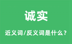 诚实的近义词和反义词是什么_诚实是什么意思?