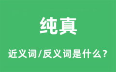 纯真的近义词和反义词是什么_纯真是什么意思?