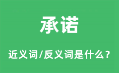 承诺的近义词和反义词是什么_承诺是什么意思?