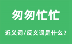 匆匆忙忙的近义词和反义词是什么_匆匆忙忙是什么意思?