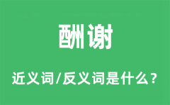 酬谢的近义词和反义词是什么_酬谢是什么意思?