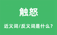 触怒的近义词和反义词是什么_触怒是什么意思?