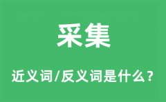 采集的近义词和反义词是什么_采集是什么意思?