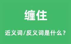 缠住的近义词和反义词是什么_缠住是什么意思?