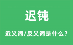 迟钝的近义词和反义词是什么_迟钝是什么意思?